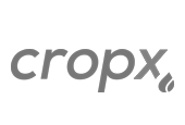 From the Ground to the Cloud: Optimizing Irrigation